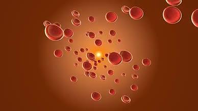 细胞DNA元素红色视频的预览图